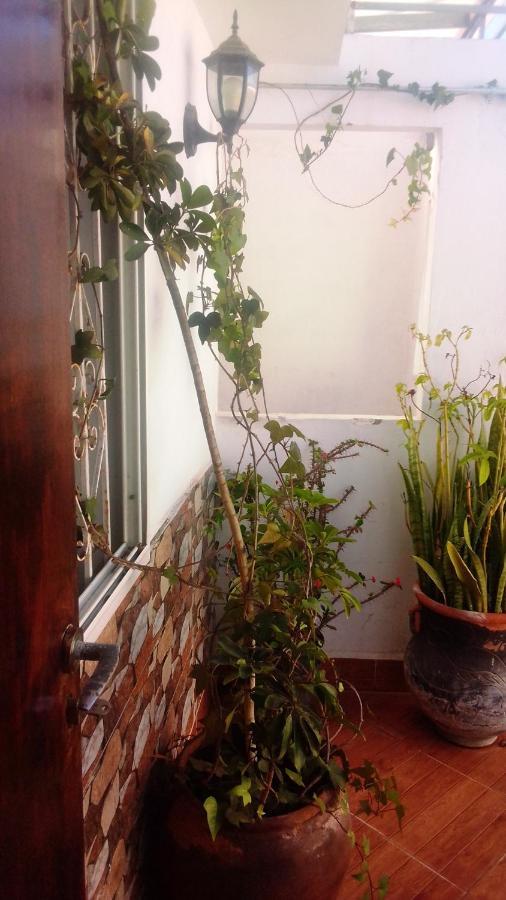 Studio Amine Avec Une Terasse Privee Rabat Dış mekan fotoğraf
